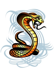 YRDSB School Logo